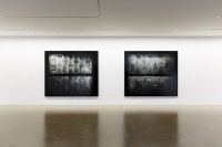 New Positions, Gallery Thomas Zander, Cologne - 2013